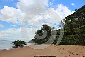 Beautiful river beach, on the island of Cotijuba photo