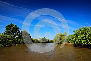 Beautiful river landscape from Costa Rica. River Rio Frio in the tropic forest. Stones in the stream. Trees above the water. Summe