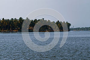 Beautiful river with lush green coconut palm trees in a island of Mangalore ,Karnataka