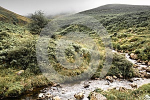 Beautiful river in mountain pass Iraty, irau, basque country, france photo