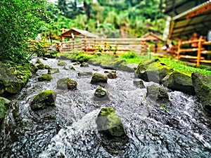 Beautiful River in the Park