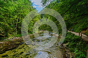 Beautiful river Radovna in Vintgar gorge close to Bled lake