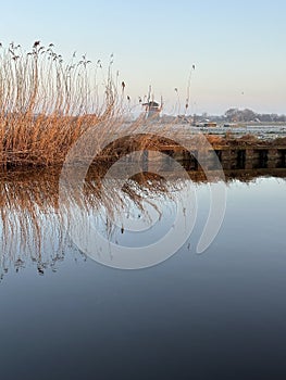 A beautiful river with reed on its shore and its reflection on the water.