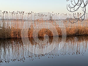 A beautiful river with reed on its shore and its reflection on the water.