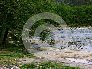 The beautiful river runs through the canyon and the forest,Beautiful trees besides the river