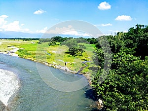 A BEAUTIFUL  RIVER AND SUPURB GREEN VEGETATION