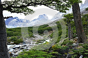 Beautiful river at Torres del Paine National Park, Chile