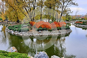 Beautiful river and yellow red trees in leaf fall. Rural landscape. Tourism and recreation in countryside, autumn Dnipro, Ukraine