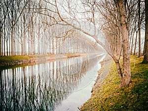 Beautiful riverscape in Damme, Belgium photo