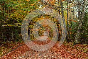 A beautiful road in autumn