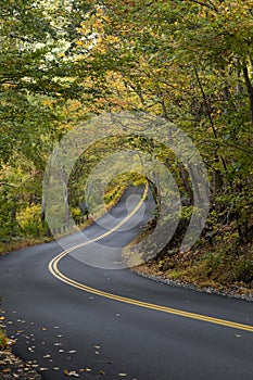 A beautiful road with autumn color