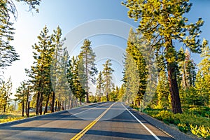 Beautiful road between the forest during sunset. at Yosemite National Park California.