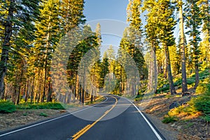 Beautiful road between the forest during sunset. at Yosemite National Park California.