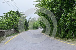 A beautiful road in the green