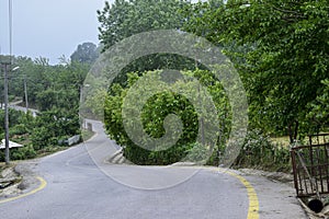 A beautiful road in the green