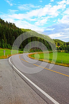 Beautiful road landscape forest trees woods green blue sky summer travel vertical highway nature asphalt rural way transportation