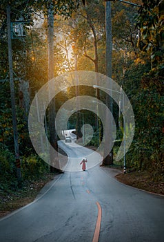 Beautiful Road for passsing to ChiangDao Mountain, ChiangMai, Thailand