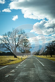 Beautiful road with trees on the sides and clouds in the background towards Mount Cook, New Zealand