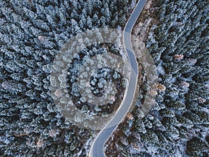 Beautiful road in winter forest top view from above, aerial landscape