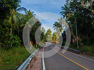 On the beautiful roads of Koh Phangan