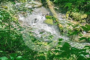 Beautiful Roaring Run Creek, Jefferson National Forest