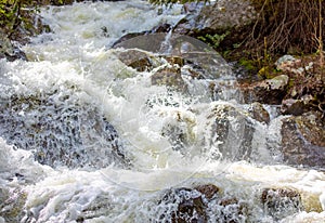 Rushing Waterfall with Lush Grass in Rocky Mountain National Park