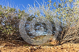 Beautiful Rock Formations In The American Southwest