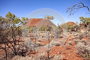Beautiful rock formations of a popular place, Kata Tjuta. Red center of Australia photo