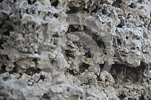 Beautiful rock texture, stone with holes. Grey petrified coral reefs. Coastal rocks concept. Natural texture, rocky photo