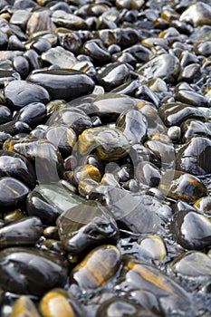 Beautiful Rocks on the Beach