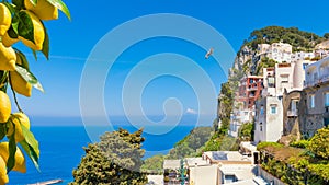 Beautiful rocky Capri Island in Italy