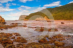 Beautiful rocky Knysna heads beach in garden route in Western Ca