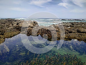 Beautiful rocky tidal pool with clear water and seaweed overlooking the sea