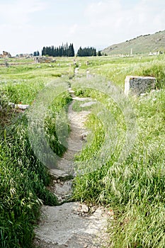 Beautiful Roman ancient ruins of hierapolis Pamukkale with meadow field