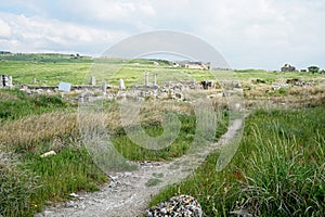 Beautiful Roman ancient ruins of hierapolis Pamukkale with meadow field