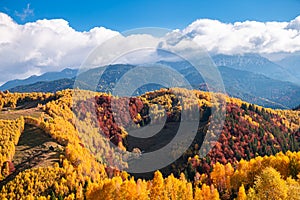 Beautiful Romania. Autumn over Rucar Bran Pass between Bucegi and Piatra Craiului Mountains