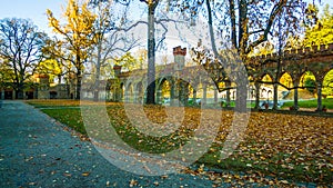 Beautiful romantic alley in a park with colorful trees and sunlight. autumn natural background - Bilderr - autumn in the park