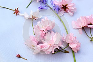 Beautiful, romantic background with pink cherry blossom and bluebells