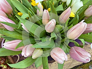 Beautiful romantic bouquet of pink tulips background. Lots of tulips, large bouquet. Top view