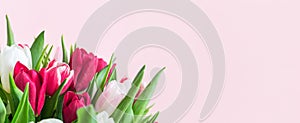 Beautiful romantic bouquet of pink and white tulips on a pale pink background