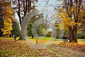 Beautiful romantic path in a park and colorful foliage on trees in the autumn park.Autumn background