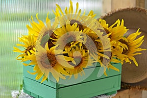 Beautiful romantic still life with sunflowers in the garden.