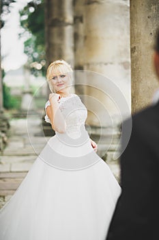 Beautiful romantic wedding couple of newlyweds hugging near old castle