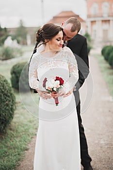 Beautiful romantic wedding couple of newlyweds hugging near old castle