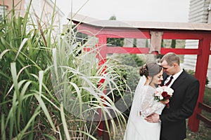 Beautiful romantic wedding couple of newlyweds hugging near old castle