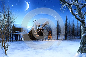 Beautiful romantic winter Christmas landscape at night