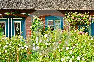 Beautiful and romantical entrance and garden of an old german farmhouse with framework and blooming plants