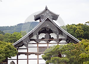 Beautiful roof of Tenryuji temple surrounded by dense green trees under a clear sky in Japan