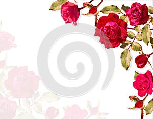 Beautiful rose border for Mother`s Day or Valentine`s Day.