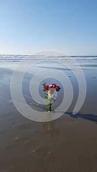 Beautiful Rose bouquet in an unusual location